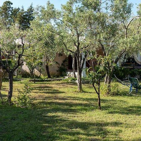 Casa Ginepro Villa Олбия Екстериор снимка