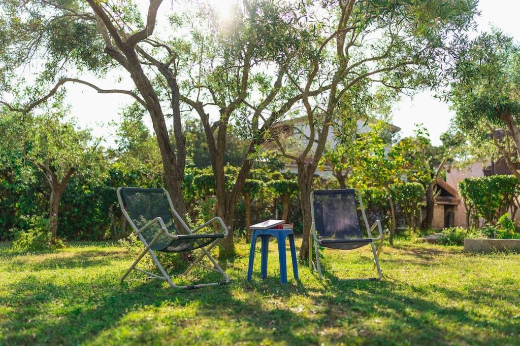 Casa Ginepro Villa Олбия Екстериор снимка