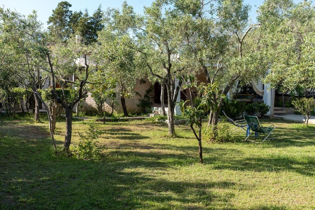 Casa Ginepro Villa Олбия Екстериор снимка