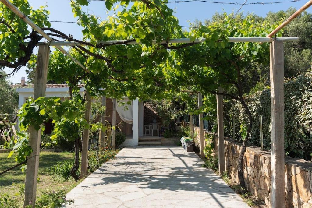 Casa Ginepro Villa Олбия Екстериор снимка